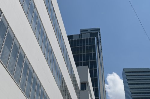 DSC_1513