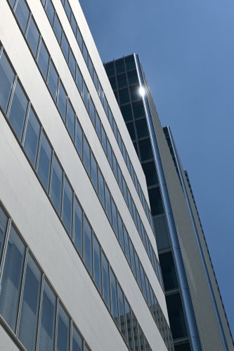 DSC_1515