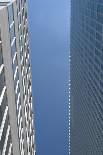 DSC_1516