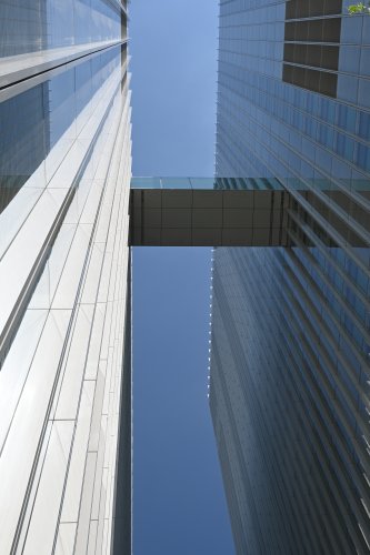 DSC_1519