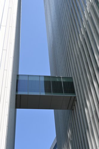 DSC_1520