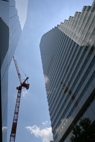 DSC_1529