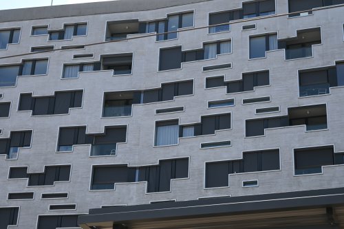 DSC_1537
