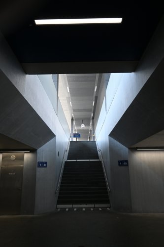 DSC_1541