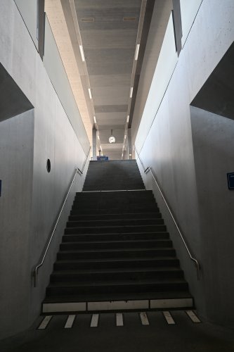 DSC_1542