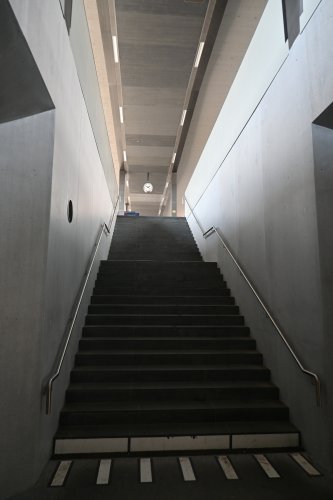 DSC_1544