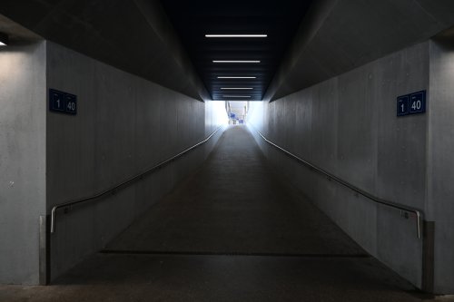 DSC_1545