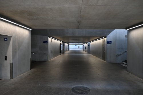 DSC_1546